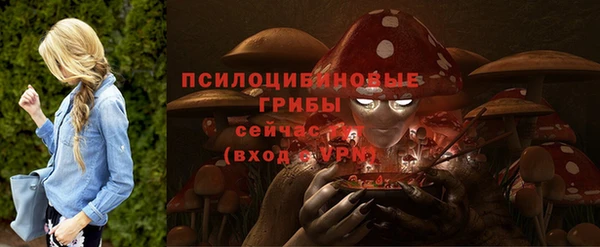метадон Нягань