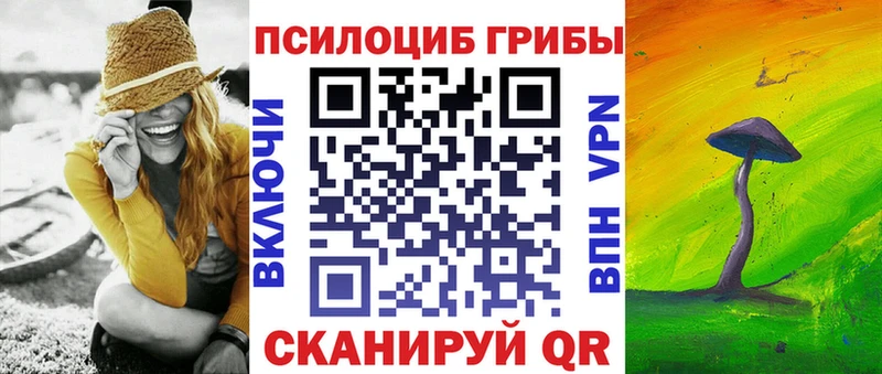 Галлюциногенные грибы мухоморы  купить  цена  гидра ссылка  Райчихинск 